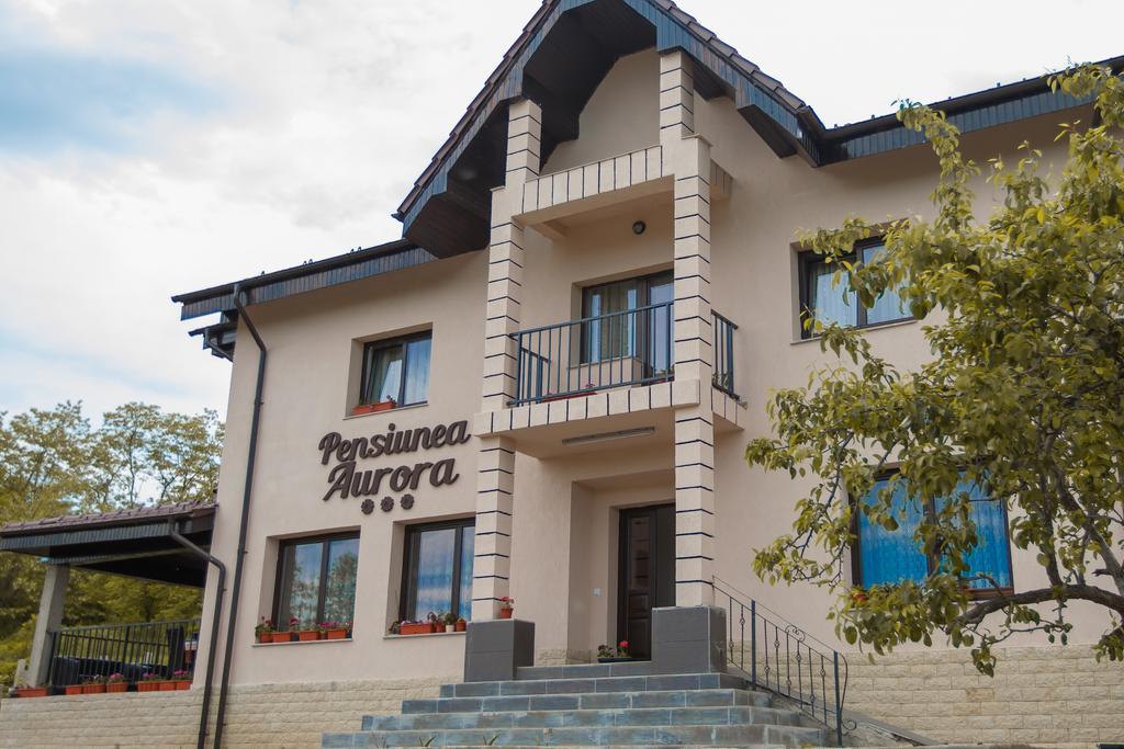 Hotel Pensiunea Aurora Racova Zewnętrze zdjęcie