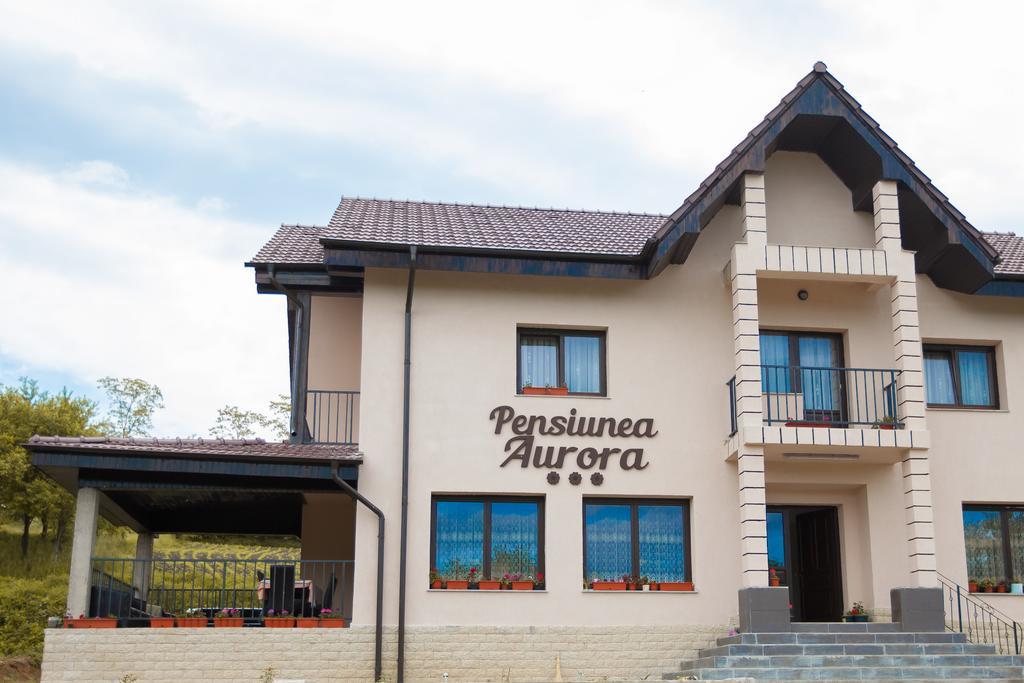 Hotel Pensiunea Aurora Racova Zewnętrze zdjęcie